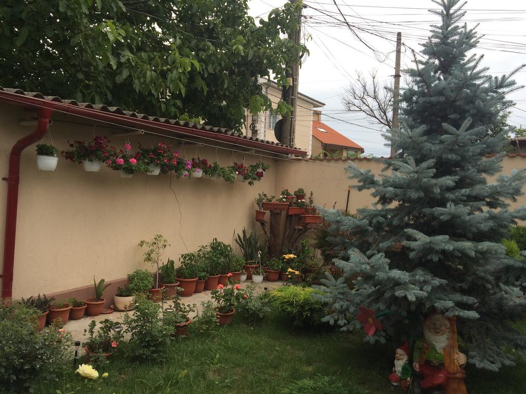 ホテル Casa Litoral コンスタンツァ エクステリア 写真