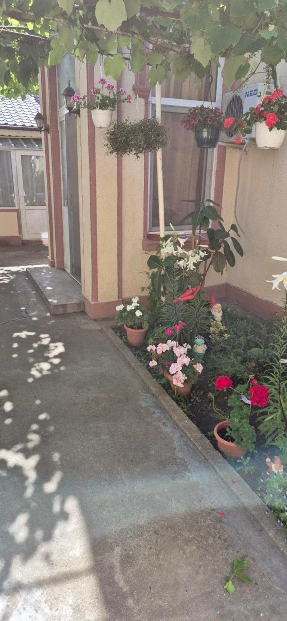 ホテル Casa Litoral コンスタンツァ エクステリア 写真